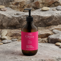 Hand & Body Wash, Ginger & Smoky Cardamom